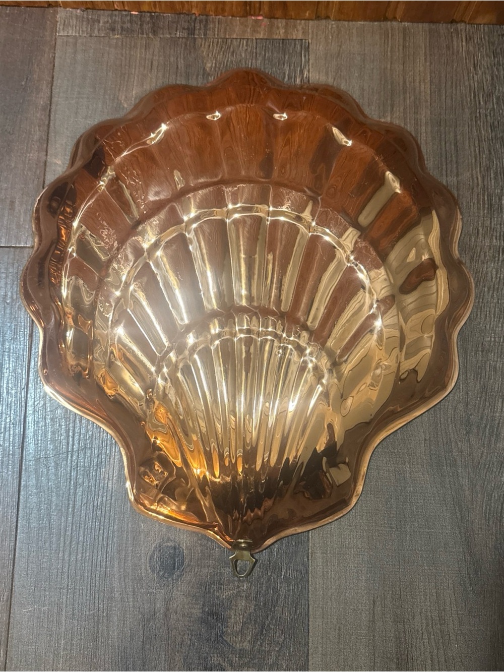 Scallop Shell Shiny Copper Wall Hanging